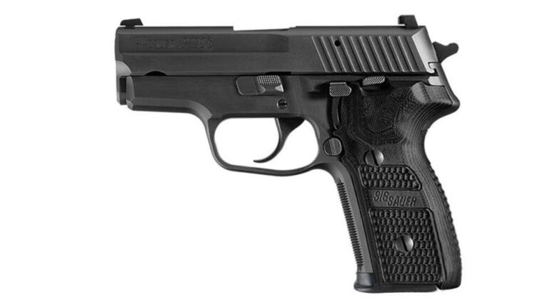 229RBSSCA P229 Compact *CA Compliant 9mm