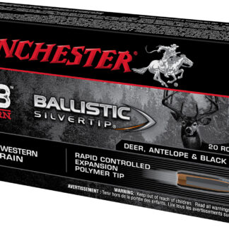Winchester Ammo SBST68W Ballistic Silvertip  6.8Western 170gr Rapid Controlled Expansion Polymer Tip 20 Per Box/10 Case