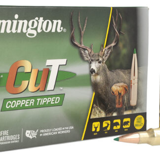 Remington Ammunition R22345 Premier Cut 300WinMag 180gr 20 Per Box/10 Case