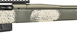 SPG BAW924300PRCG 2020 WYPNT 300PR 24 EVGRN