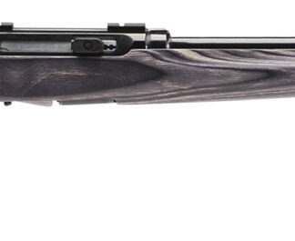 Savage Arms 47006 A17 Target Sporter Full Size 17 HMR 10+1 22" High Luster Heavy Target Barrel, High Luster Drilled & Tapped Carbon Steel Receiver, Satin Gray Fixed Laminate Stock, Right Hand