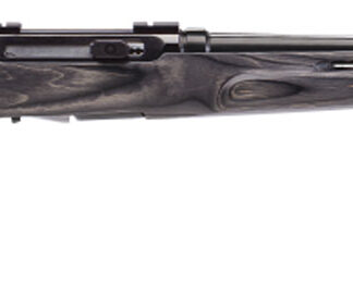 Savage Arms 47005 A17 Target Full Size 17 HMR 10+1 22" Black Heavy Fluted Barrel, High Luster Drilled & Tapped Carbon Steel Receiver, Satin Gray Thumbhole Laminate Stock, Right Hand