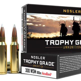 Nosler 60063 Trophy Grade  300WSM 180gr Nosler AccuBond 20 Per Box/10 Case