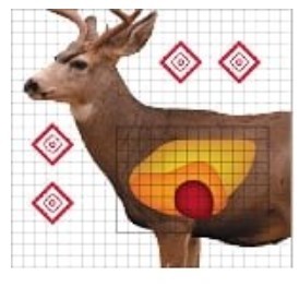 MULE DEER SIGHT IN TARGET 25″ X 25″  5 PACK